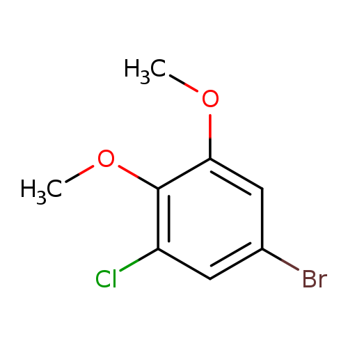 5-bromo-1-chloro-2,3-dimethoxybenzene