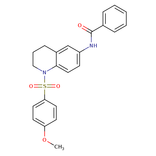 N-[1-(4-methoxybenzenesulfonyl)-1,2,3,4-tetrahydroquinolin-6-yl]benzamide