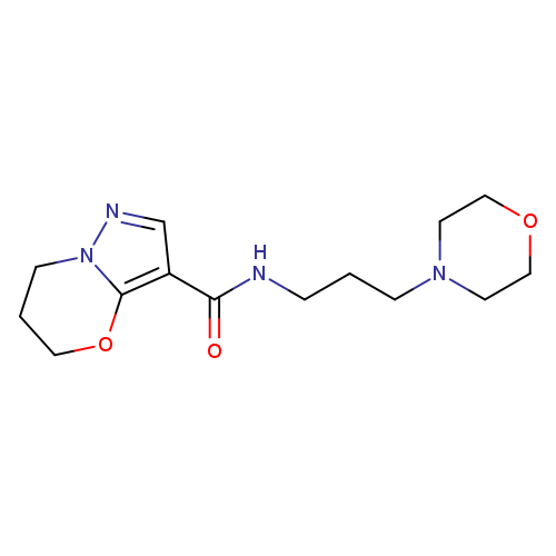 N-[3-(morpholin-4-yl)propyl]-5H,6H,7H-pyrazolo[3,2-b][1,3]oxazine-3-carboxamide