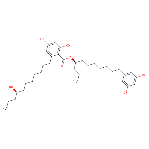 Integracin B
