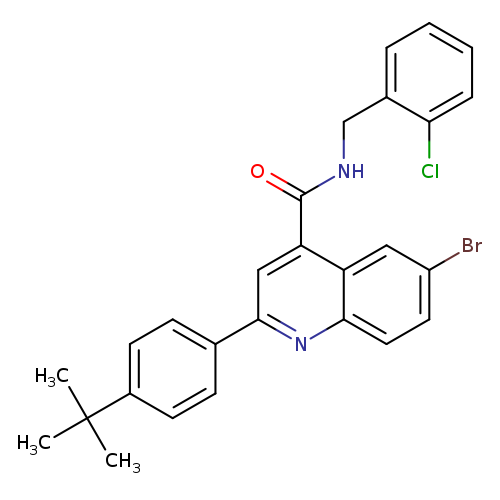 6-bromo-2-(4-tert-butylphenyl)-N-(2-chlorobenzyl)-4-quinolinecarboxamide