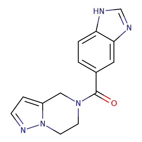 5-{4H,5H,6H,7H-pyrazolo[1,5-a]pyrazine-5-carbonyl}-1H-1,3-benzodiazole