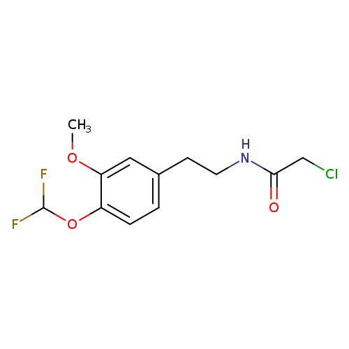 2-chloro-N-{2-[4-(difluoromethoxy)-3-methoxyphenyl]ethyl}acetamide