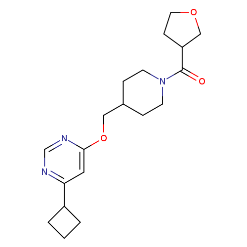 4-cyclobutyl-6-{[1-(oxolane-3-carbonyl)piperidin-4-yl]methoxy}pyrimidine