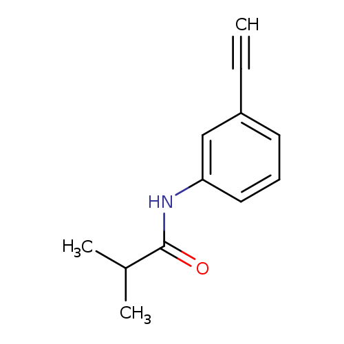N-(3-ETHYNYLPHENYL)-2-METHYLPROPANAMIDE