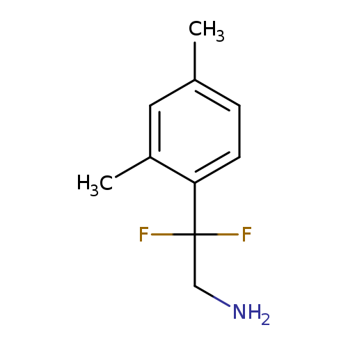2-(2,4-dimethylphenyl)-2,2-difluoroethan-1-amine