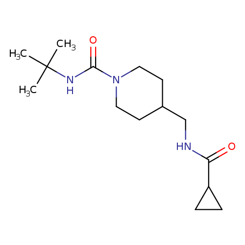 N-tert-butyl-4-[(cyclopropylformamido)methyl]piperidine-1-carboxamide