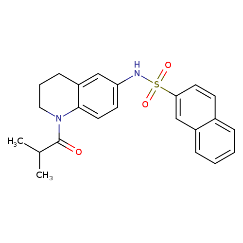 N-[1-(2-methylpropanoyl)-1,2,3,4-tetrahydroquinolin-6-yl]naphthalene-2-sulfonamide