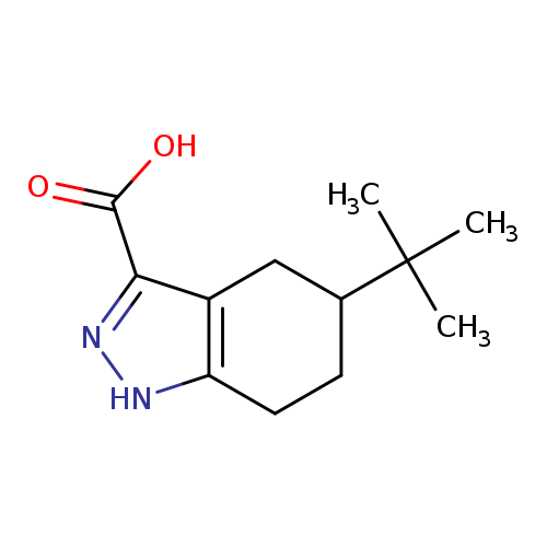 5-tert-Butyl-4,5,6,7-tetrahydro-1h-indazole-3-carboxylic acid