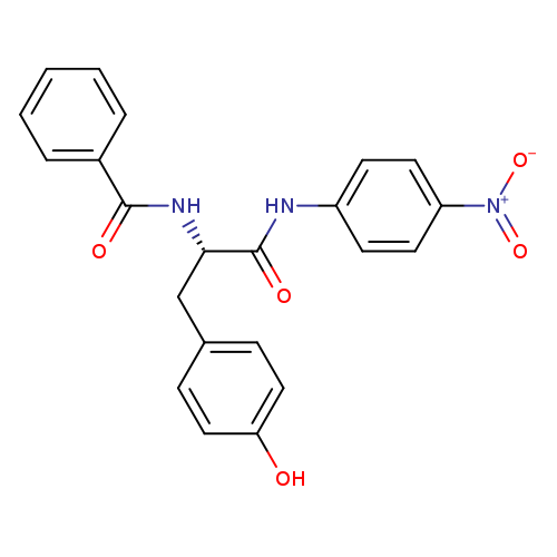 BZ-TYR-PNA