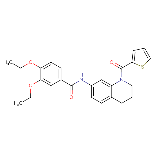 3,4-diethoxy-N-[1-(thiophene-2-carbonyl)-1,2,3,4-tetrahydroquinolin-7-yl]benzamide