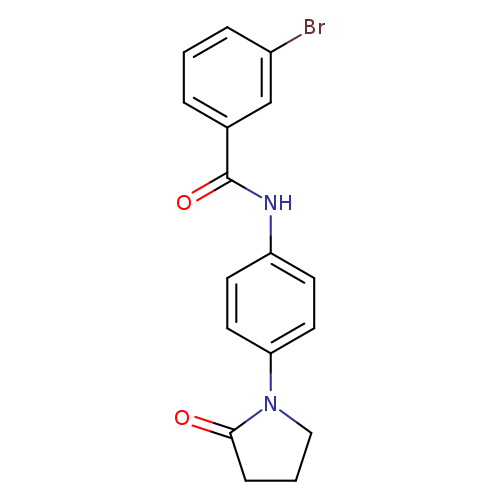 3-bromo-N-[4-(2-oxopyrrolidin-1-yl)phenyl]benzamide