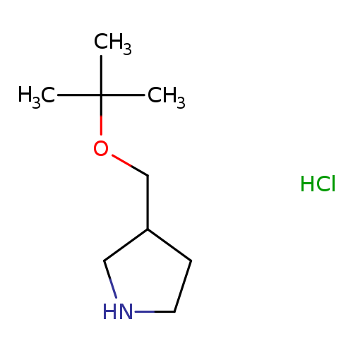 3-[(tert-butoxy)methyl]pyrrolidinehydrochloride
