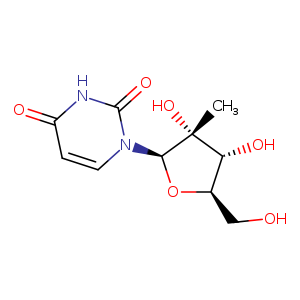 2'-C-Methyluridine