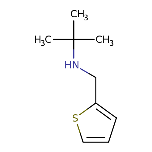 tert-Butyl(thiophen-2-ylmethyl)amine