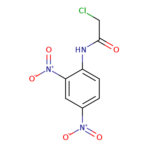 2-CHLORO-N-(2,4-DINITRO-PHENYL)-ACETAMIDE