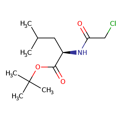 tert-butyl (2R)-2-(2-chloroacetamido)-4-methylpentanoate