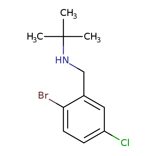 [(2-bromo-5-chlorophenyl)methyl](tert-butyl)amine