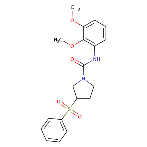 3-(benzenesulfonyl)-N-(2,3-dimethoxyphenyl)pyrrolidine-1-carboxamide