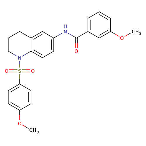 3-methoxy-N-[1-(4-methoxybenzenesulfonyl)-1,2,3,4-tetrahydroquinolin-6-yl]benzamide