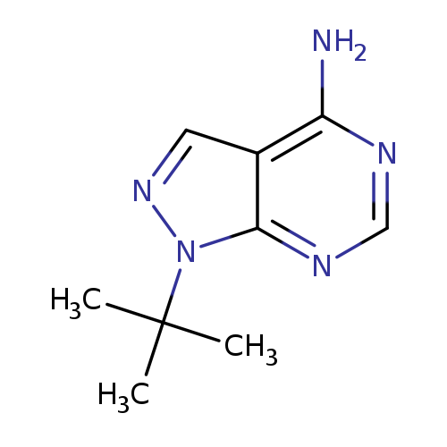 1-tert-Butyl-1H-pyrazolo[3,4-d]pyrimidin-4-amine