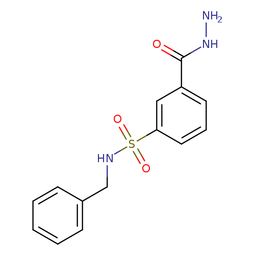 N-benzyl-3-(hydrazinecarbonyl)benzene-1-sulfonamide
