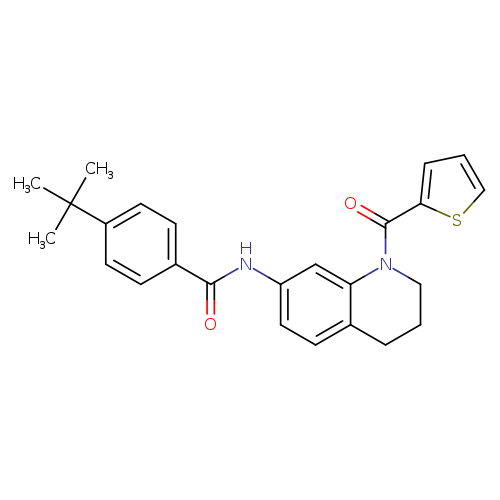 4-tert-butyl-N-[1-(thiophene-2-carbonyl)-1,2,3,4-tetrahydroquinolin-7-yl]benzamide