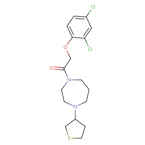 2-(2,4-dichlorophenoxy)-1-[4-(thiolan-3-yl)-1,4-diazepan-1-yl]ethan-1-one