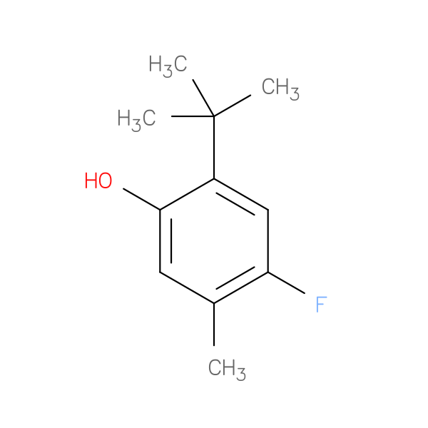 2-(1,1-Dimethylethyl)-4-fluoro-5-methylphenol