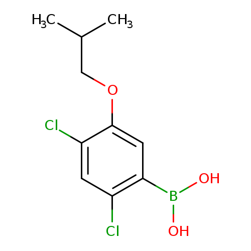 2,4-Dichloro-5-isobutoxyphenylboronic acid