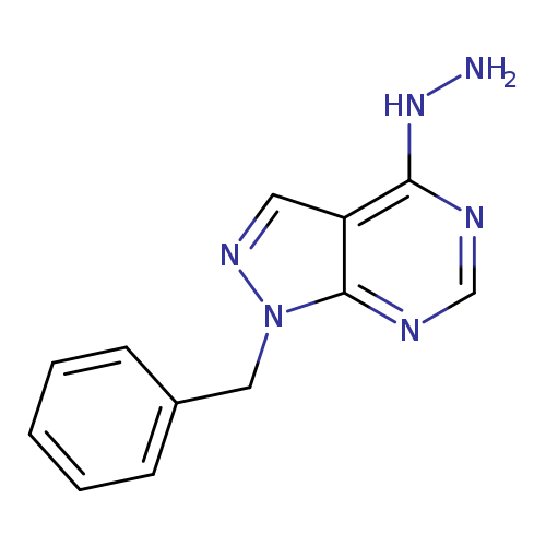 (1-BENZYL-1H-PYRAZOLO[3,4-D]PYRIMIDIN-4-YL)-HYDRAZINE