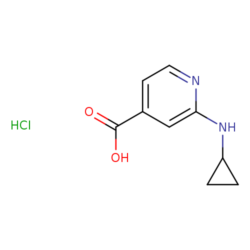 2-(cyclopropylamino)pyridine-4-carboxylic acid hydrochloride