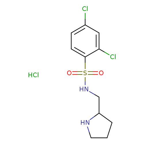 2,4-Dichloro-N-pyrrolidin-2-ylmethyl-benzenesulfonamide hydrochloride