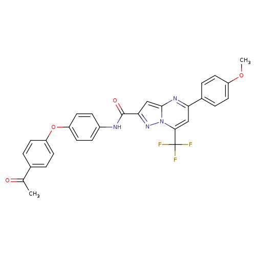 N-[4-(4-acetylphenoxy)phenyl]-5-(4-methoxyphenyl)-7-(trifluoromethyl)pyrazolo[1,5-a]pyrimidine-2-carboxamide