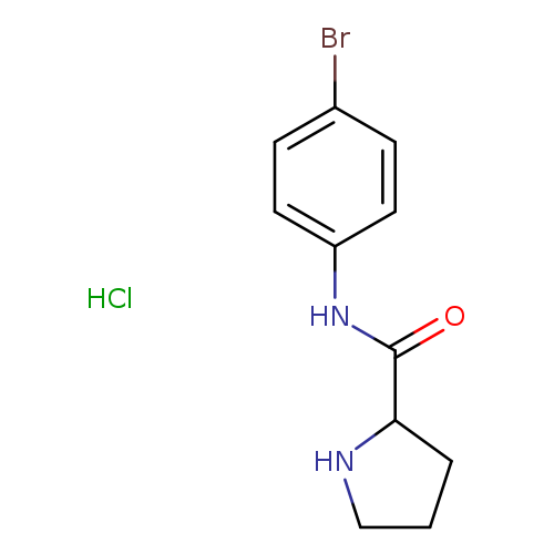 N-(4-bromophenyl)pyrrolidine-2-carboxamide hydrochloride