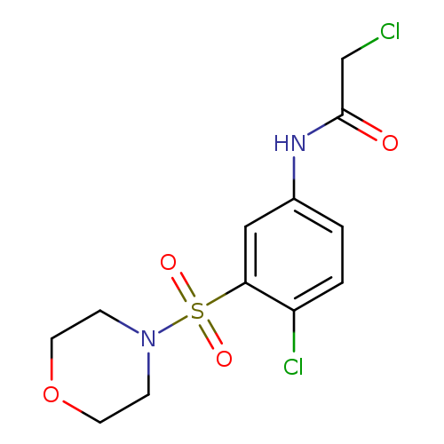 2-chloro-N-[4-chloro-3-(morpholine-4-sulfonyl)phenyl]acetamide