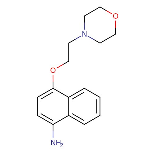 4-(2-Morpholinoethoxy)naphthalen-1-amine