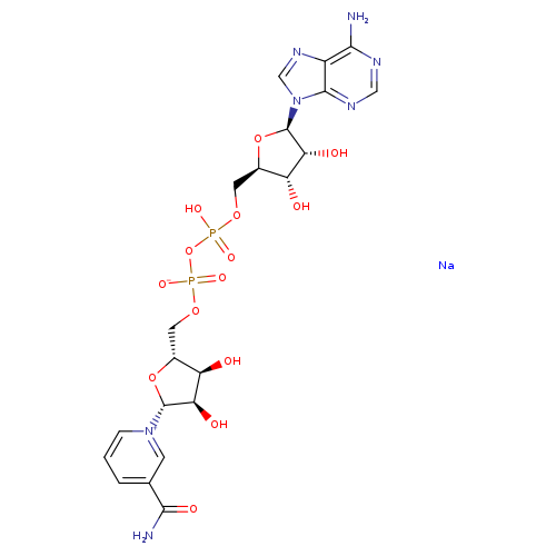 Adenosine 5′-(trihydrogen diphosphate), P′→5′-ester with 3-(aminocarbonyl)-1-β-D-ribofuranosylpyridinium, inner salt, sodium salt (1:1)