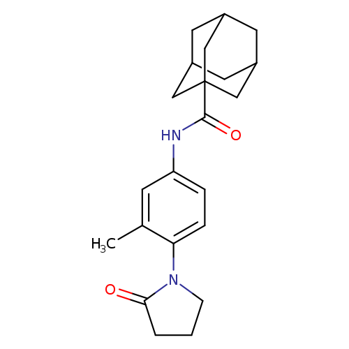 N-[3-methyl-4-(2-oxopyrrolidin-1-yl)phenyl]adamantane-1-carboxamide