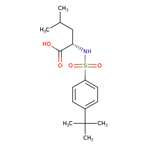 ((4-(tert-Butyl)phenyl)sulfonyl)leucine