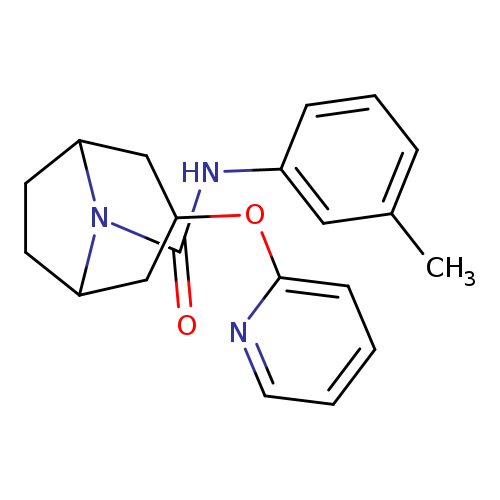 N-(3-methylphenyl)-3-(pyridin-2-yloxy)-8-azabicyclo[3.2.1]octane-8-carboxamide