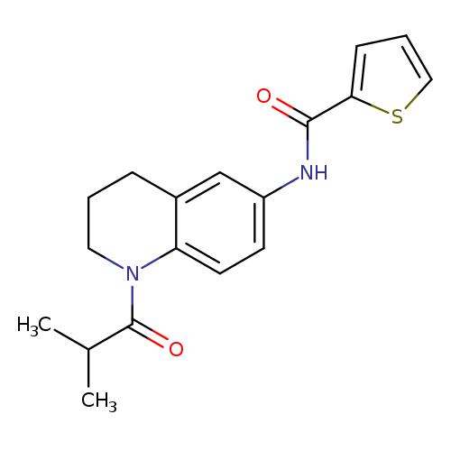 N-[1-(2-methylpropanoyl)-1,2,3,4-tetrahydroquinolin-6-yl]thiophene-2-carboxamide