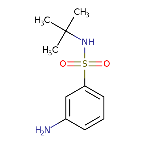 3-AMino-N-(tert-butyl)benzenesulfonaMide