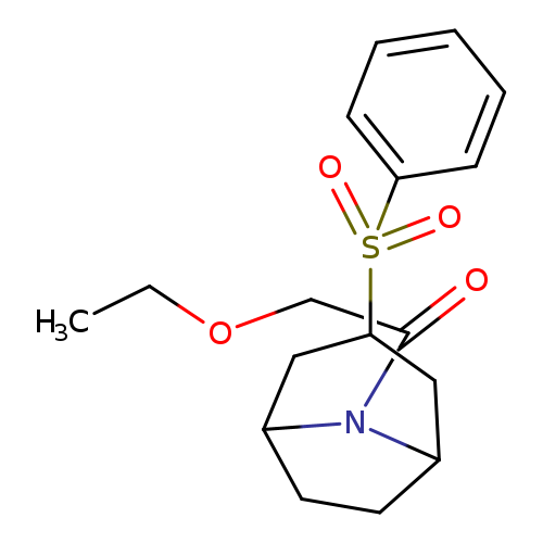 1-[3-(benzenesulfonyl)-8-azabicyclo[3.2.1]octan-8-yl]-2-ethoxyethan-1-one