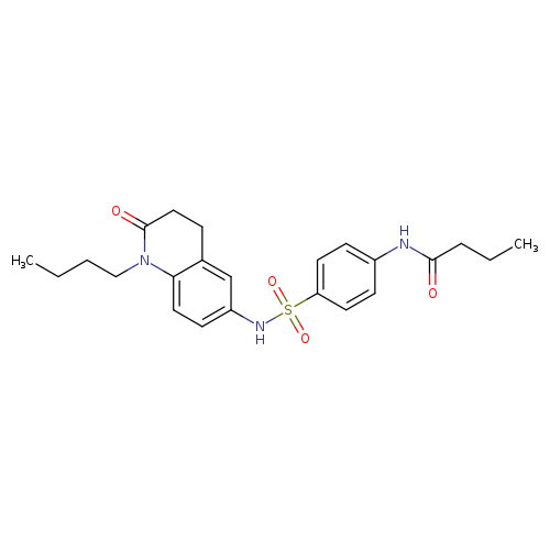 N-{4-[(1-butyl-2-oxo-1,2,3,4-tetrahydroquinolin-6-yl)sulfamoyl]phenyl}butanamide