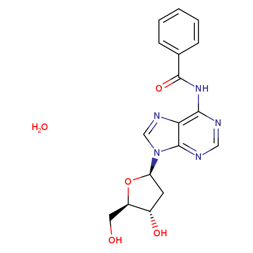 N6-Benzoyl-2'-deoxyadenosine hydrate