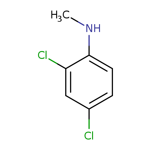 N1-methyl-2,4-dichloroaniline