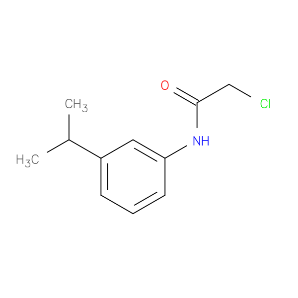 2-chloro-N-[3-(propan-2-yl)phenyl]acetamide