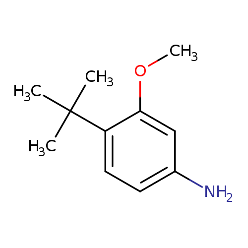 4-tert-Butyl-3-methoxy-phenylamine