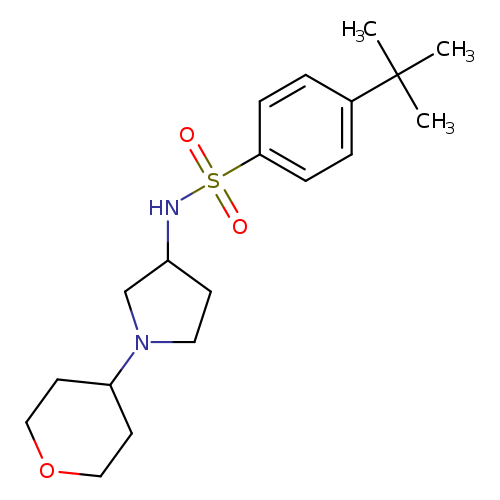 4-tert-butyl-N-[1-(oxan-4-yl)pyrrolidin-3-yl]benzene-1-sulfonamide